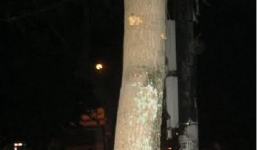 Thông tin mới nhất vụ đấu súng kinh hoàng trong đêm ở xứ Nghệ